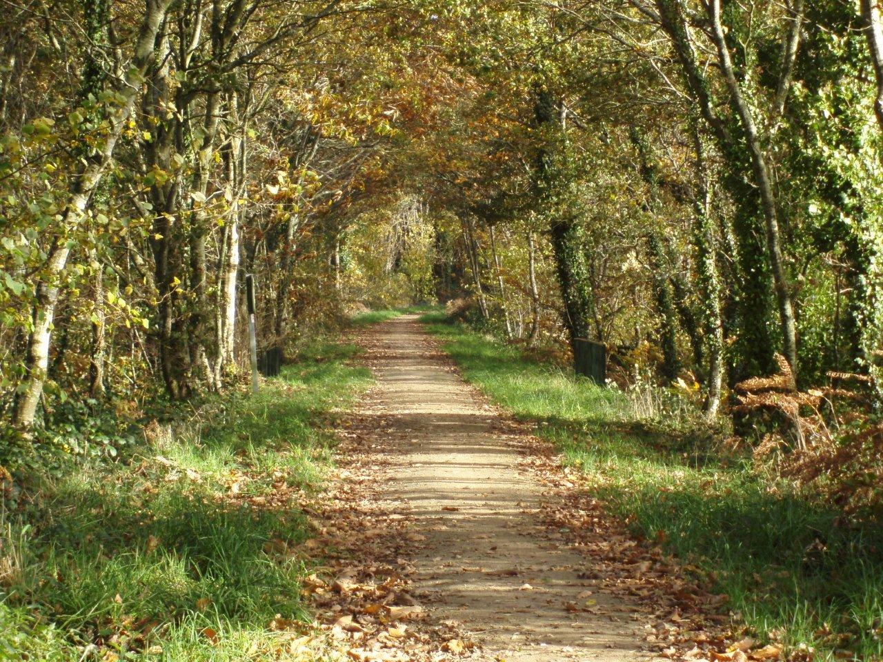 Balade automnale sur l'ancienne voie ferrée